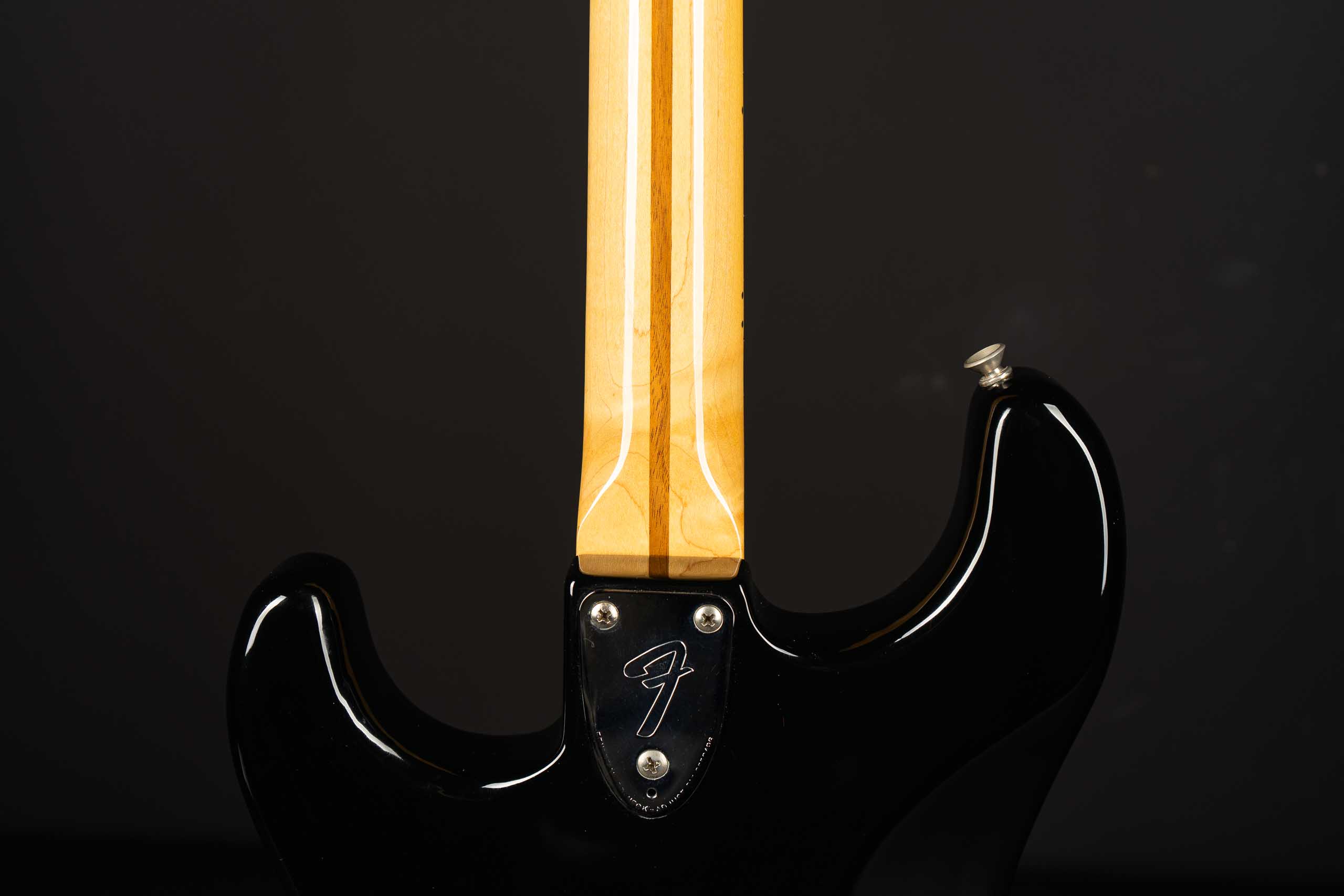 FenderPlayerStratocaster 美品 Fender Stratocaster Art Gallery Collection FACE LTD | Reverb